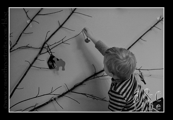 jesseblog-009 jesseblog-009